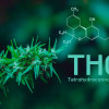THC
